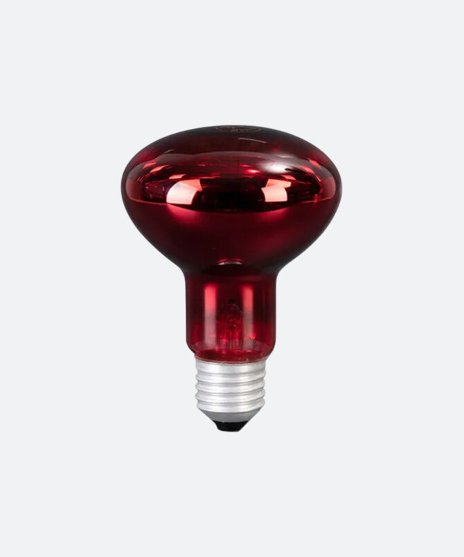BOMBILLOLUZ INFRARROJA (110V - 275W)